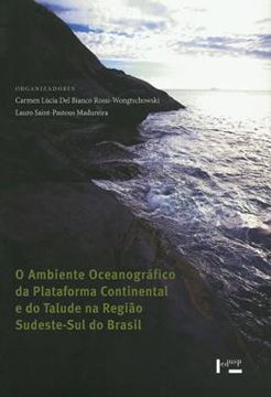 Imagem de O AMBIENTE OCEANOGRAFICO DA PLATAFORMA CONTINENTAL E DO TALUDE NA REGIAO SUDESTE-SUL DO BRASIL