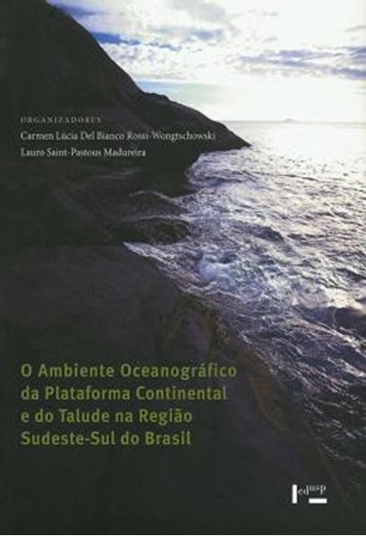 Picture of O AMBIENTE OCEANOGRAFICO DA PLATAFORMA CONTINENTAL E DO TALUDE NA REGIAO SUDESTE-SUL DO BRASIL