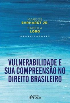 Imagem de VULNERABILIDADE E SUA COMPREENSAO NO DIREITO BRASILEIRO