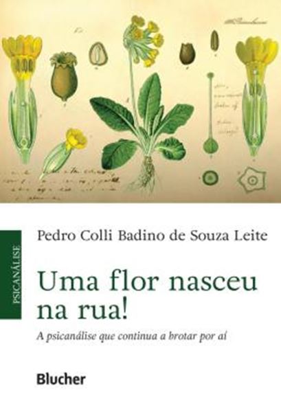 Picture of UMA FLOR NASCEU NA RUA! - A PSICANALISE QUE CONTINUA A BROTAR POR AI