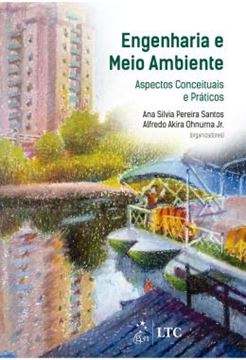 Imagem de ENGENHARIA E MEIO AMBIENTE - ASPECTOS CONCEITUAIS E PRATICOS