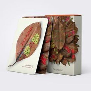 Imagem de ORACULO DAS ARVORES