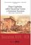 Imagem de DOZE CAPITULOS SOBRE ESCRAVIZAR GENTE E GOVERNAR ESCRAVOS - BRASIL E ANGOLA - SECULOS VXII-XIX