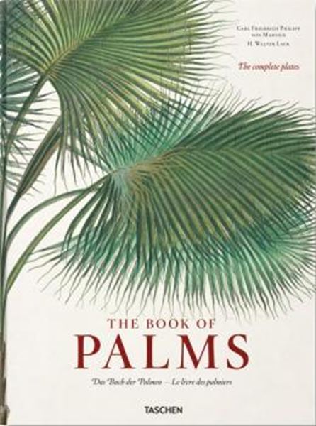 Picture of THE BOOK OF PALMS