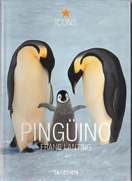 Imagem de PINGUINO