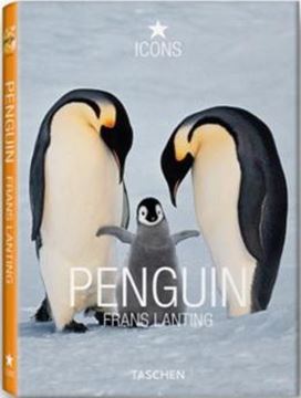 Imagem de PENGUINS