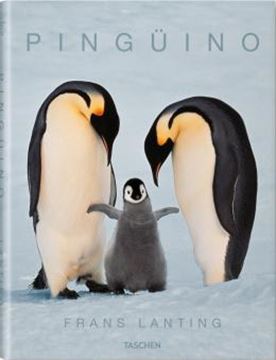Imagem de PINGUINO