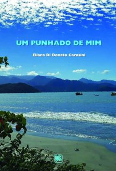 Picture of UM PUNHADO DE MIM