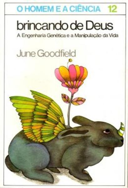 Picture of BRINCANDO DE DEUS