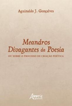 Imagem de MEANDROS DIVAGANTES DA POESIA - OU SOBRE O PROCESSO DE CRIACAO POETICA