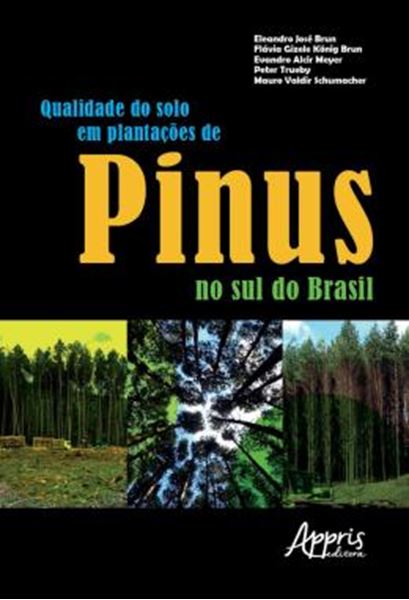 Picture of QUALIDADE DO SOLO EM PLANTACOES DE PINUS NO SUL DO BRASIL