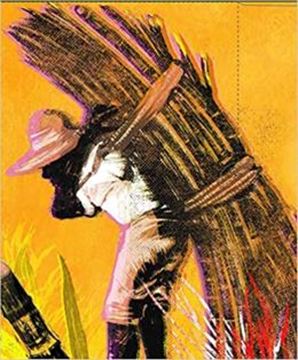 Imagem de CICLO DA CANA DE ACUCAR