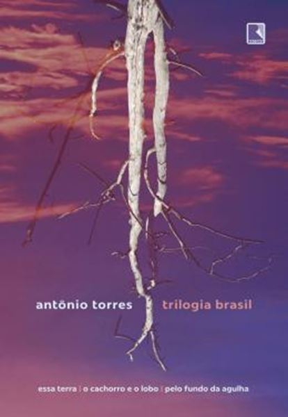 Picture of TRILOGIA BRASIL