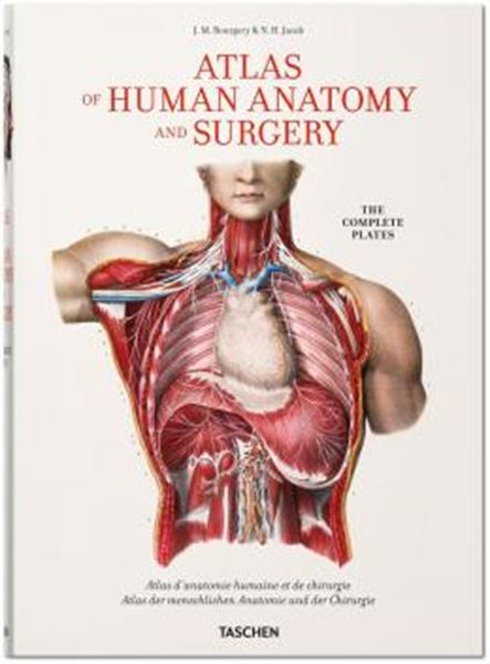 Picture of BOURGERY. ATLAS OF HUMAN ANATOMY AND SURGERY