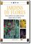 Imagem de JARDINS DE FLORES