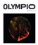 Imagem de OLYMPIO N.3