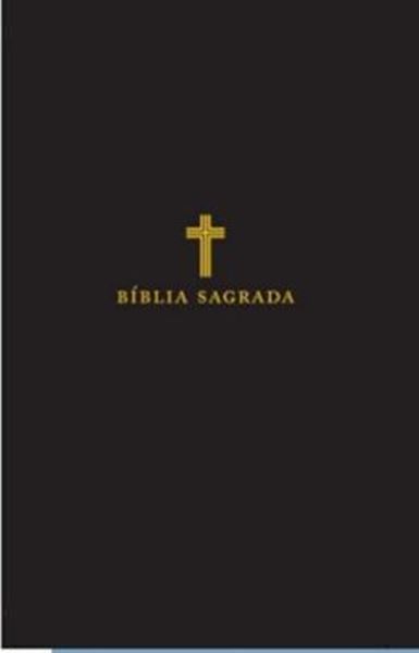 Picture of BBLIA NVI