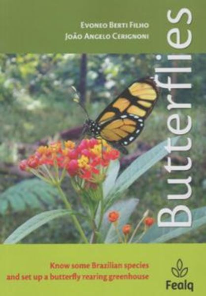 Picture of BUTTERFLIES