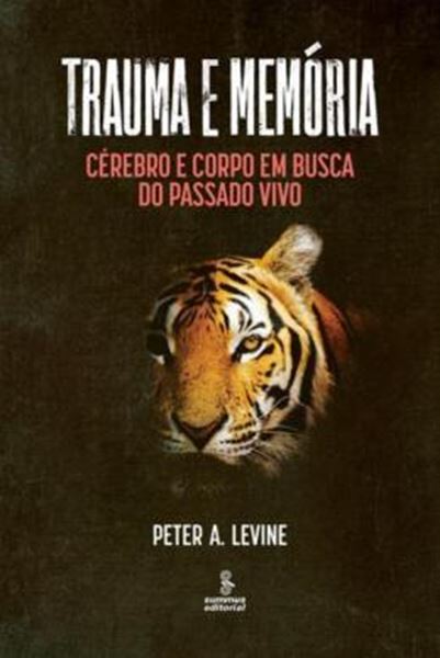 Picture of TRAUMA E MEMORIA