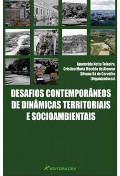 Picture of DESAFIOS CONTEMPORANEOS DE DINAMICAS TERRITORIAISE SOCIOAMBIENTAIS