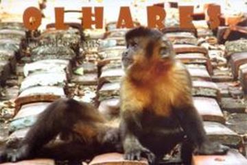 Imagem de OLHARES - FOTOPOEMAS