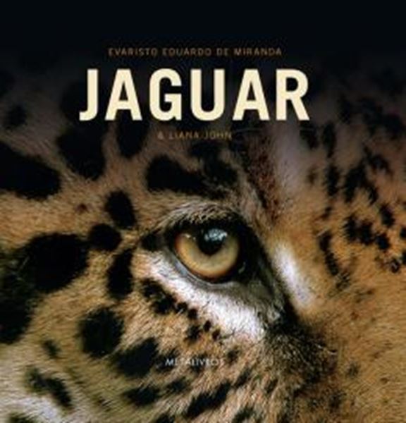 Picture of JAGUAR - O REI DAS AMERICAS