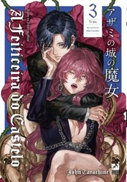 Imagem de A FEITICEIRA DO CASTELO 3