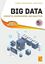 Imagem de BIG DATA - CONCEPTS, WAREHOUSING, AND ANALYTICS