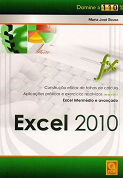 Picture of EXCEL 2010 - DOMINE A 110
