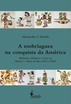 Imagem de EMBRIAGUEZ NA CONQUISTA DA AMERICA, A - MEDICINA, IDOLATRIA E VICIO NO MEXICO E PERU, SECULOS XVI E XVII