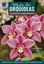 Imagem de MESTRE DAS ORQUIDEAS - VOLUME 16: CYMBIDIUM - AS ESPECIES E SEUS HIBRIDOS