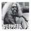 Imagem de CADERNOS DE MUSICA - HERMETO PASCOAL