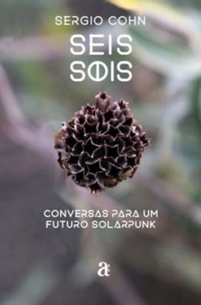 Picture of SEIS SOIS