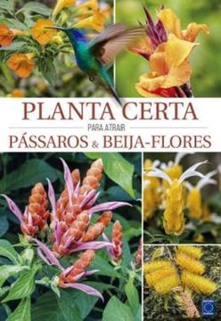 Imagem de PLANTA CERTA PARA ATRAIR PASSAROS & BEIJA-FLORES