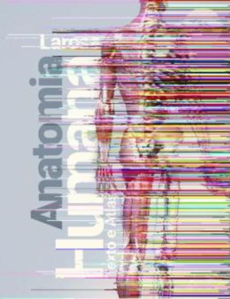 Picture of ANATOMIA HUMANA - TEXTO E ATLAS - 2ª ED.