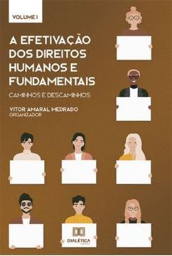 Imagem de A EFETIVACAO DOS DIREITOS HUMANOS E FUNDAMENTAIS - CAMINHOS E DESCAMINHOS - VOL. 1