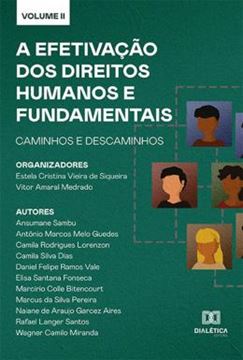 Imagem de A EFETIVACAO DOS DIREITOS HUMANOS E FUNDAMENTAIS - CAMINHOS E DESCAMINHOS - VOL. 2