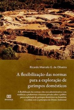 Imagem de A FLEXIBILIZACAO DAS NORMAS PARA A EXPLORACAO DE GARIMPOS DOMESTICOS