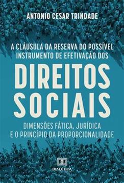 Imagem de A CLAUSULA DA RESERVA DO POSSIVEL INSTRUMENTO DE EFETIVACAO DOS DIREITOS SOCIAIS