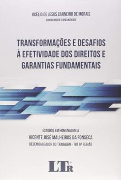 Picture of TRANSFORMAÇÕES E DESAFIOS À EFETIVIDADE DOS DIREITOS E GARANTIAS FUNDAMENTAIS