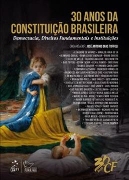 Imagem de 30 ANOS DA CONSTITUICAO BRASILEIRA - DEMOCRACIA, DIREITOS FUNDAMENTAIS E INSTITUICOES