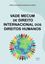 Imagem de VADE MECUM DE DIREITO INTERNACIONAL DOS DIREITOS HUMANOS