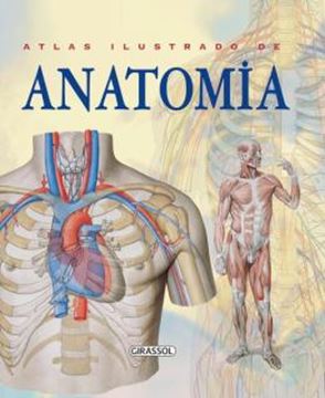 Imagem de ATLAS ILUSTRADO DE ANATOMIA