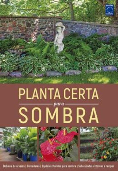 Picture of PLANTA CERTA PARA SOMBRA