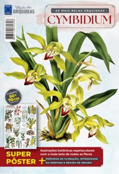 Picture of POSTER MESTRE DAS ORQUIDEAS - AS MAIS BELAS ORQUIDEAS CYMBIDIUM