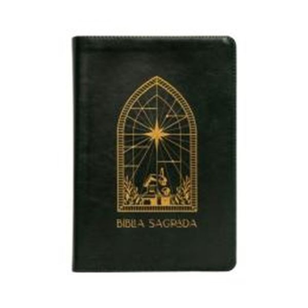 Picture of THE PURPOSE BOOK: BIBLIA SAGRADA, A21, COURO SOFT, VERDE