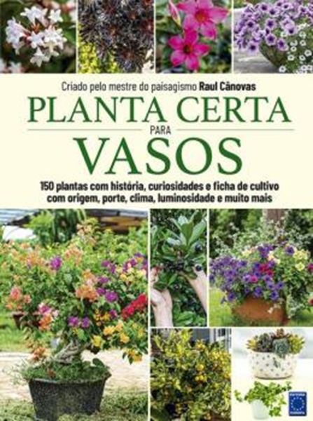 Picture of PLANTA CERTA PARA VASOS