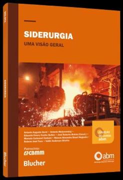 Imagem de SIDERURGIA - UMA VISAO GERAL