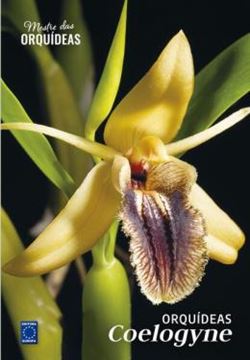 Imagem de ORQUIDEAS COELOGYNE - MESTRE DAS ORQUIDEAS - VOL. 22