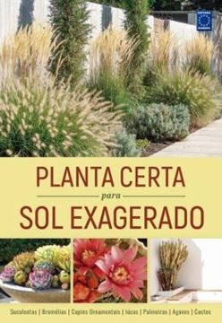 Imagem de PLANTA CERTA PARA SOL EXAGERADO